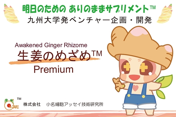 生姜のめざめ Premium